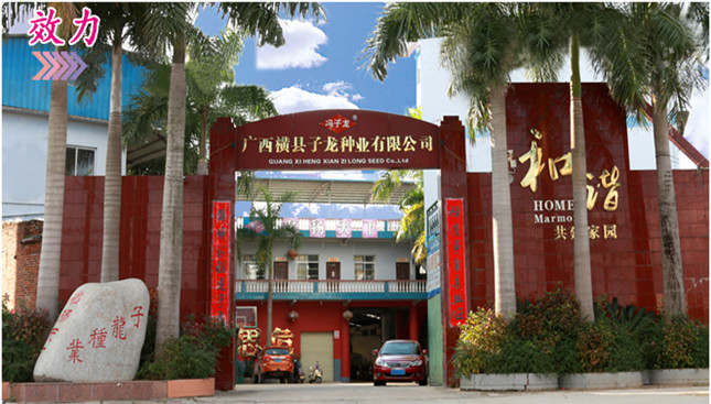 實(shí)力品質(zhì)均有保障