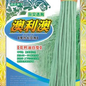 澳利澳（花籽油白型）厚肉長(zhǎng)豆角 2-07