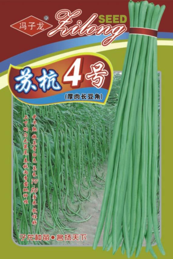 蘇杭4號(hào)厚肉長豆角.jpg